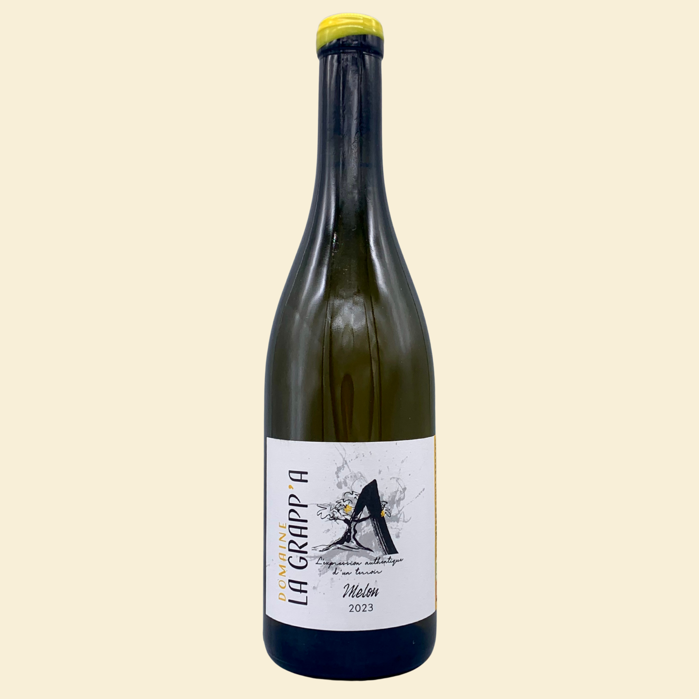 Michel Gahier Arbois Le Clousot Trousseau 2024 | Jura Wine — Vins